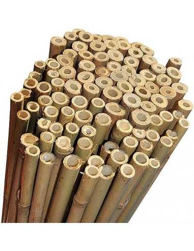 Canne di bamboo H.120 d.12-14 R1-P2