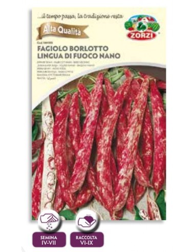 Fagiolo da seme Kg 1 ''Borlotto L.Fuoco'' nano